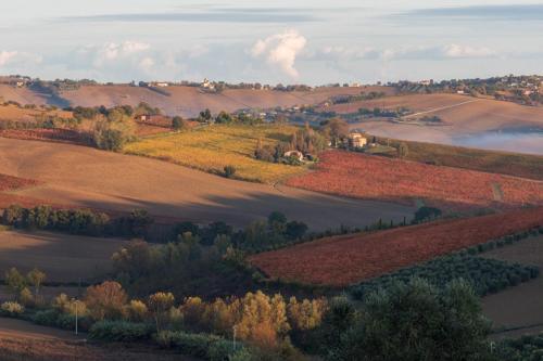 La Vita Nuova Morro d'Alba Bagian luar foto